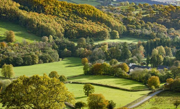 Extensive views of open countryside on the Dolaucothi Estate